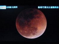 RIMG3326