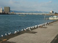 RIMG3367