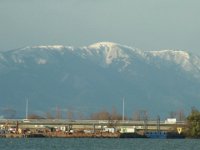 RIMG3386