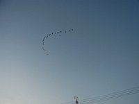 RIMG3393