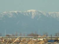 RIMG3523