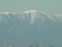 RIMG3524