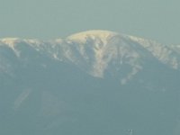 RIMG3526