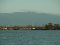 RIMG3667