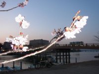 RIMG3683