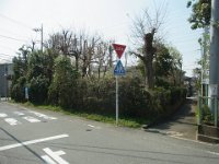 RIMG4069