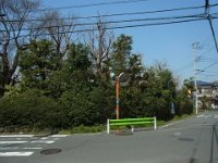 RIMG4072