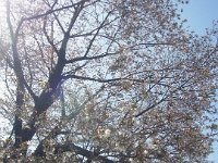 20180330