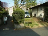 RIMG4291