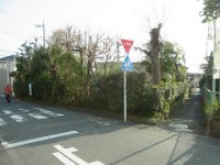 RIMG4294