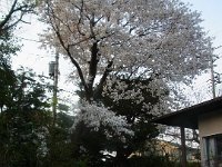 20180402