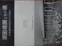 RIMG4387