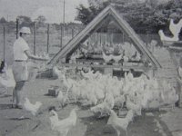 RIMG4392