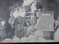 RIMG4394