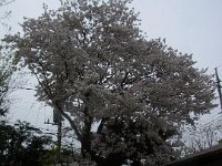 20180403