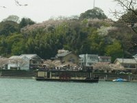 RIMG4451