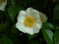 RIMG4757