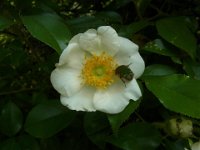 RIMG4767