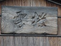 RIMG4975