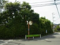 RIMG5057