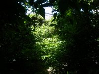 RIMG5368