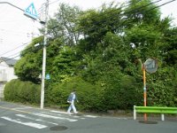 RIMG5422