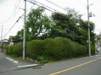 RIMG5454