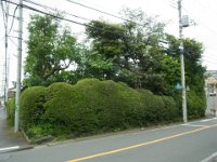 RIMG5455