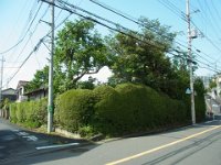 RIMG5469