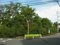 RIMG5503