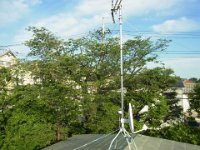 RIMG5537
