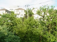 RIMG5543