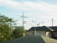 RIMG5553