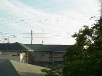 RIMG5554