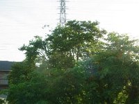 RIMG5555