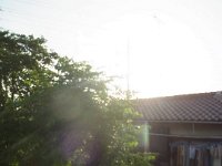 RIMG5556