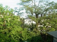RIMG5558