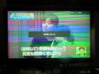RIMG5630