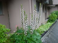 RIMG5843