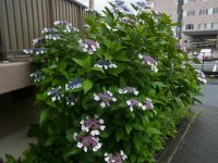 RIMG5859