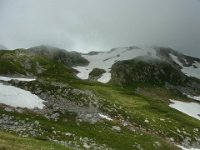 RIMG6269