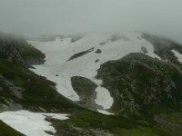 RIMG6275