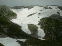 RIMG6287