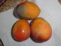RIMG6566
