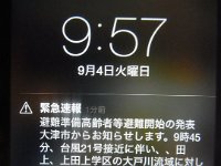 RIMG7381