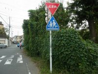 RIMG7792