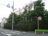RIMG7793