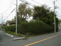RIMG7796
