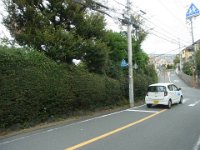RIMG7905