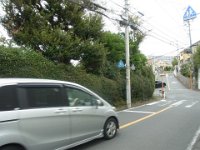 RIMG7906